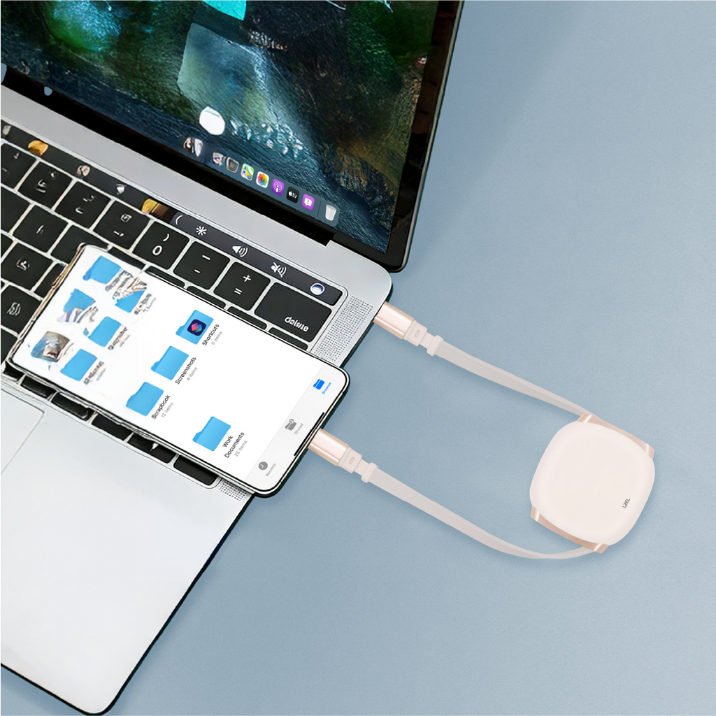 LZEL Fluxlink 100 USB-C 100W Fast Charging Cable With Data Transfer
