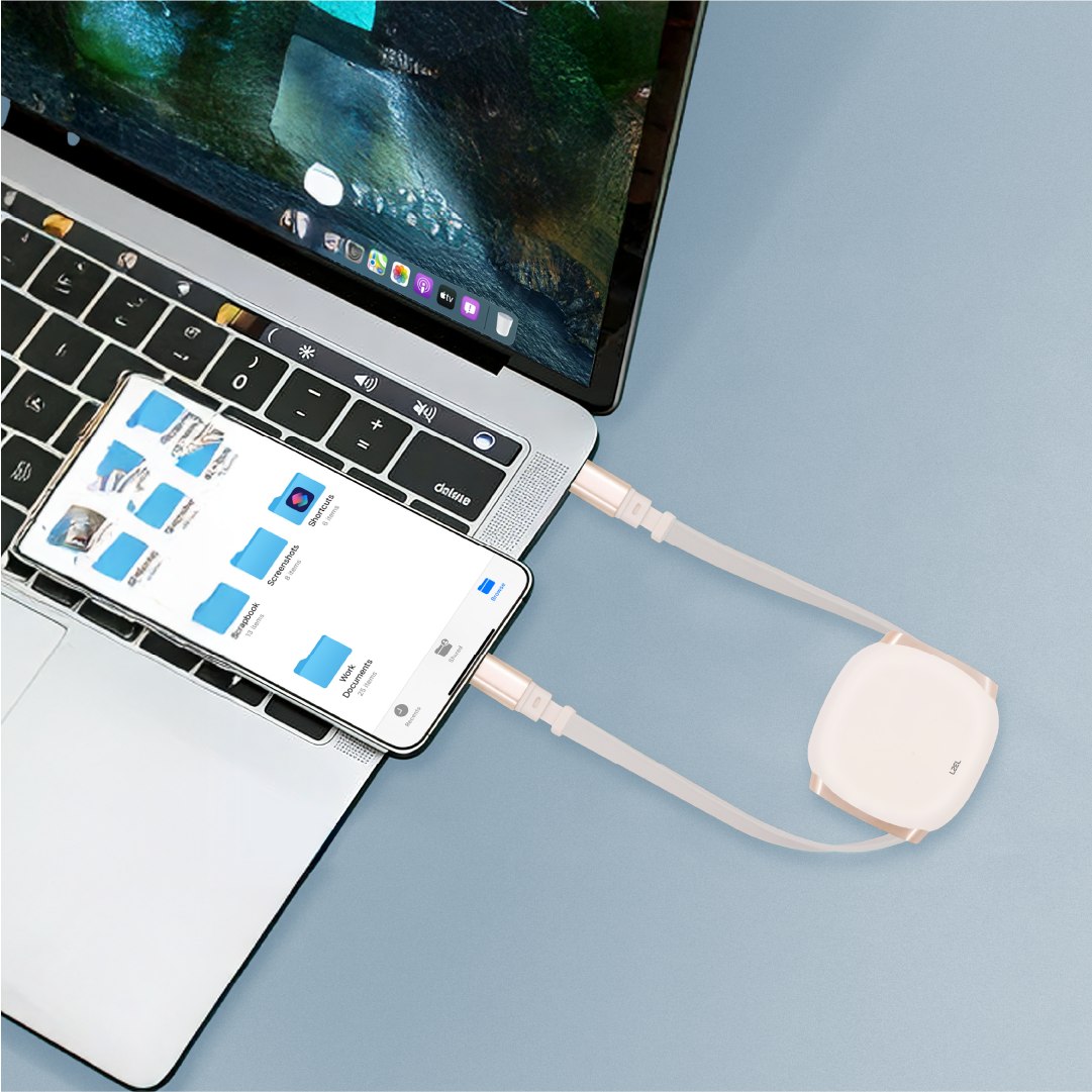 LZEL Fluxlink 100 USB-C 100W Fast Charging Cable With Data Transfer