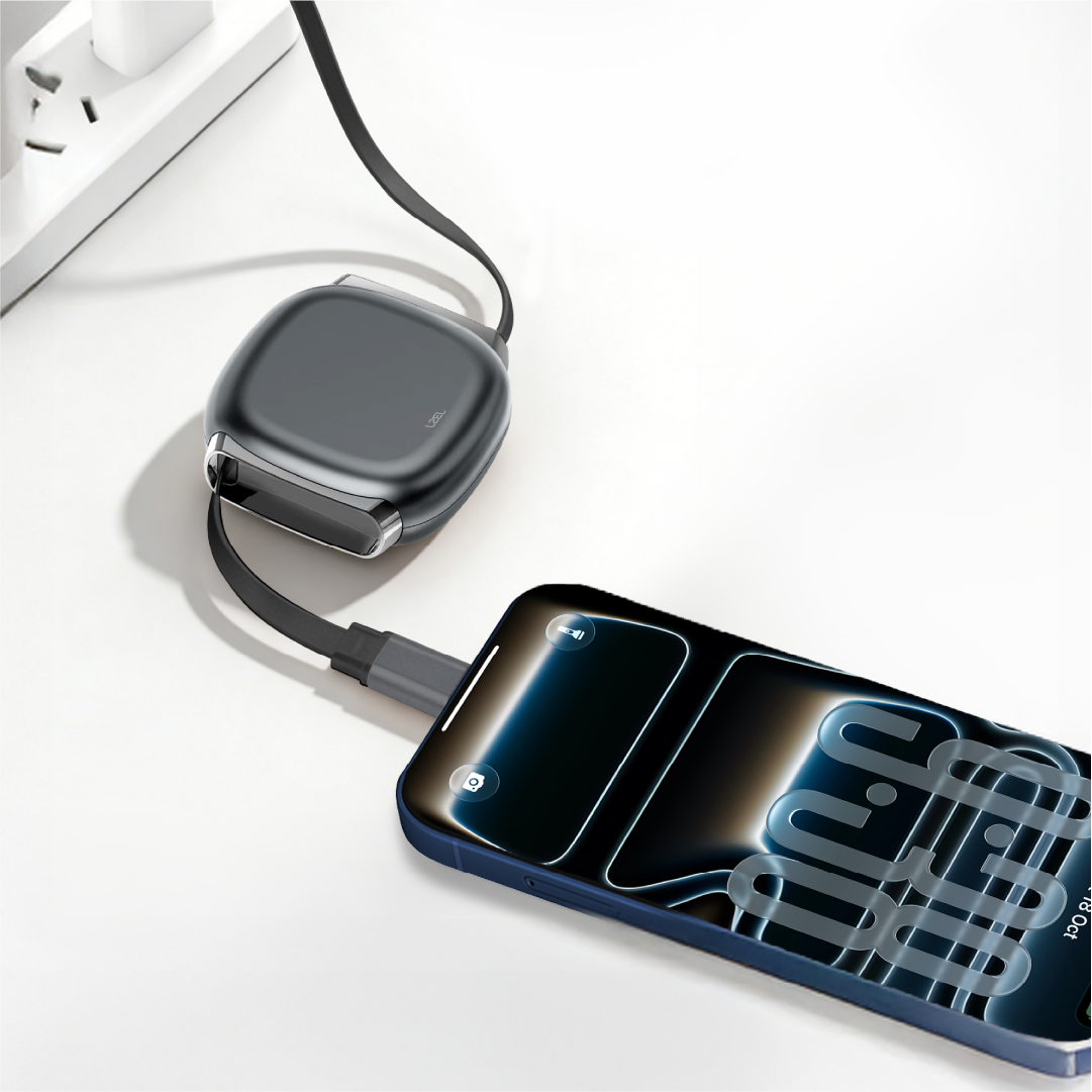 LZEL Fluxlink 100 USB-C 100W Fast Charging Cable With Data Transfer
