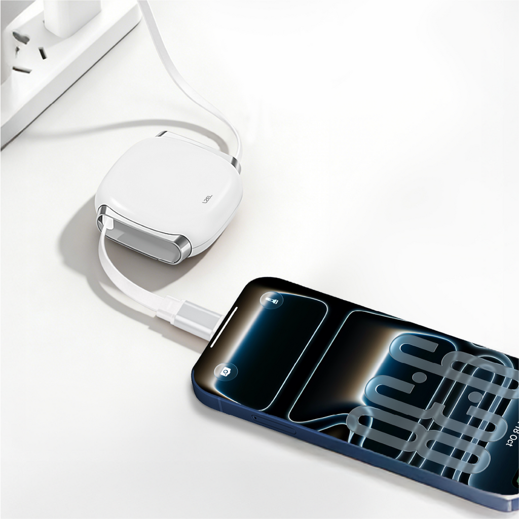 LZEL Fluxlink 100 Usb-C 100W Fast Charging Cable With Data Transfer | White