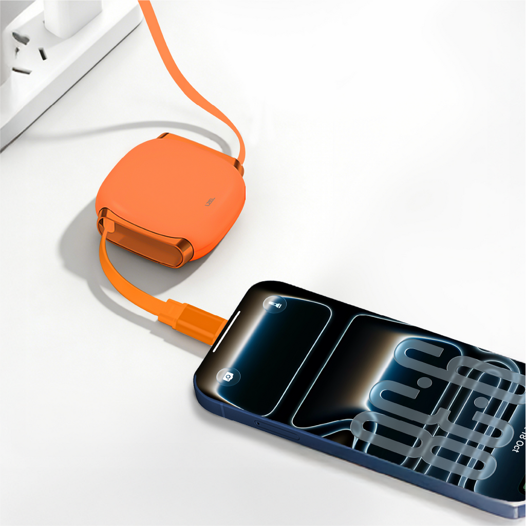 LZEL Fluxlink 100 USB-C 100W Fast Charging Cable With Data Transfer