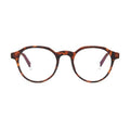 Barner Screen Glasses Chamberi Tortoise - (490149)