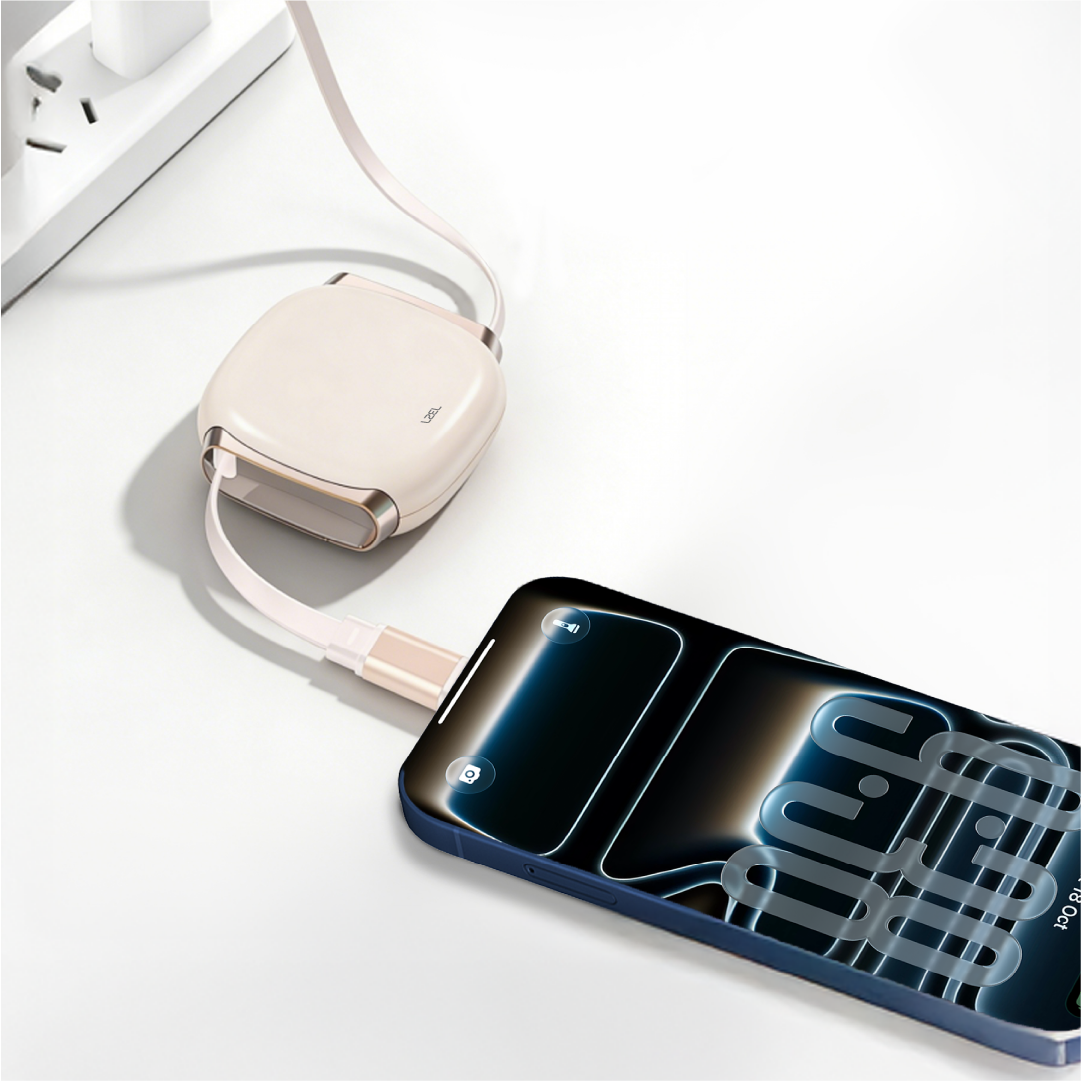 LZEL Fluxlink 100 USB-C 100W Fast Charging Cable With Data Transfer