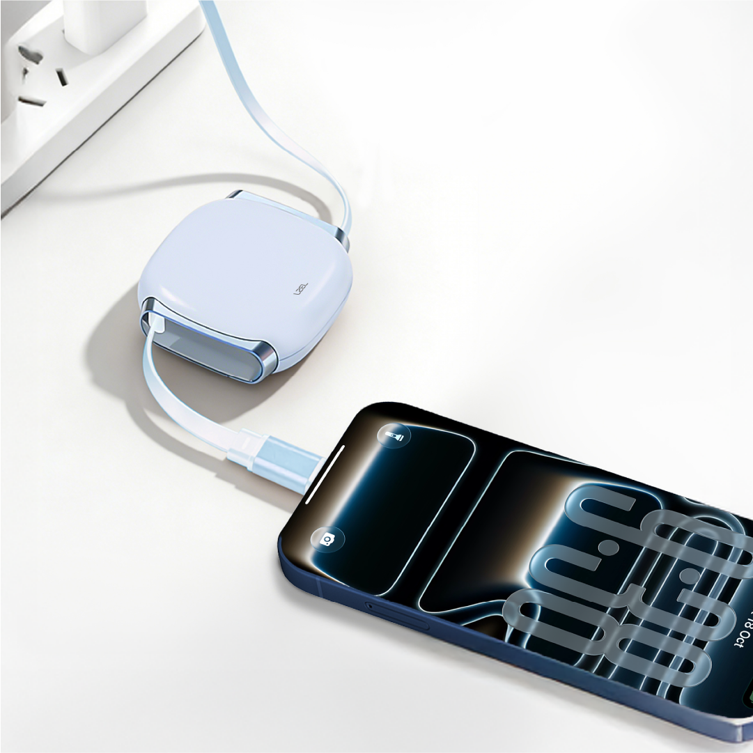 LZEL Fluxlink 100 USB-C 100W Fast Charging Cable With Data Transfer