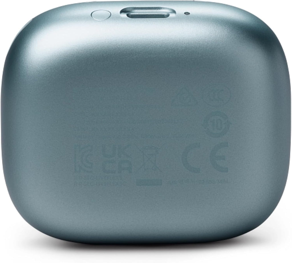 JBL Live Flex 3 True Wireless Earbuds With Display | Blue