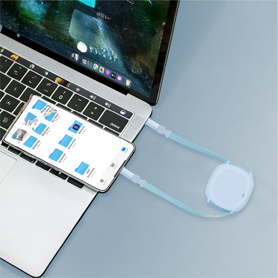 LZEL Fluxlink 100 Usb-C 100W Fast Charging Cable With Data Transfer | Blue
