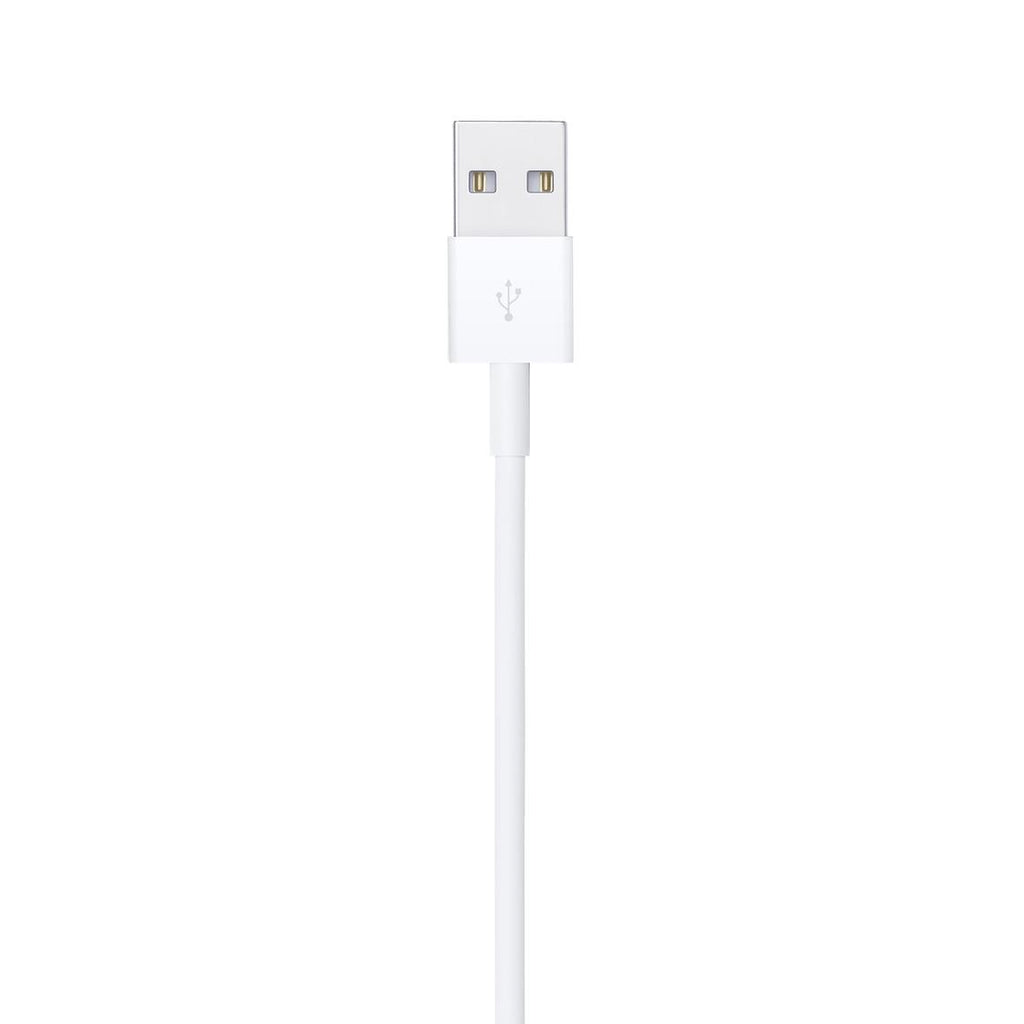 Apple Lightning to USB Cable 1M