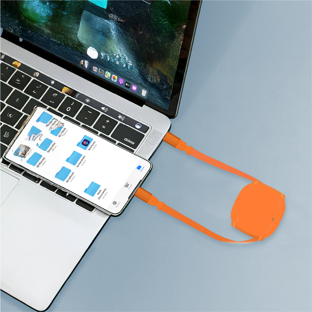 LZEL Fluxlink 100 USB-C 100W Fast Charging Cable With Data Transfer