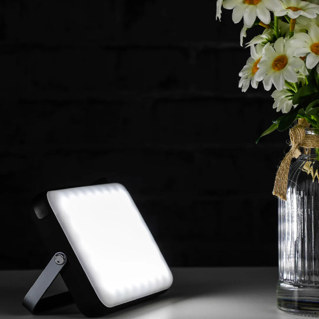LZEL Luminova Surg10 LED Light & Powerbank 100â??800 Lumens, USB-C â?? Black