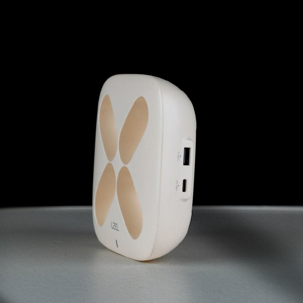 LZEL Quadra Energia X Station 10000mAh Charging Station Built In Cable Lightning And Type-C