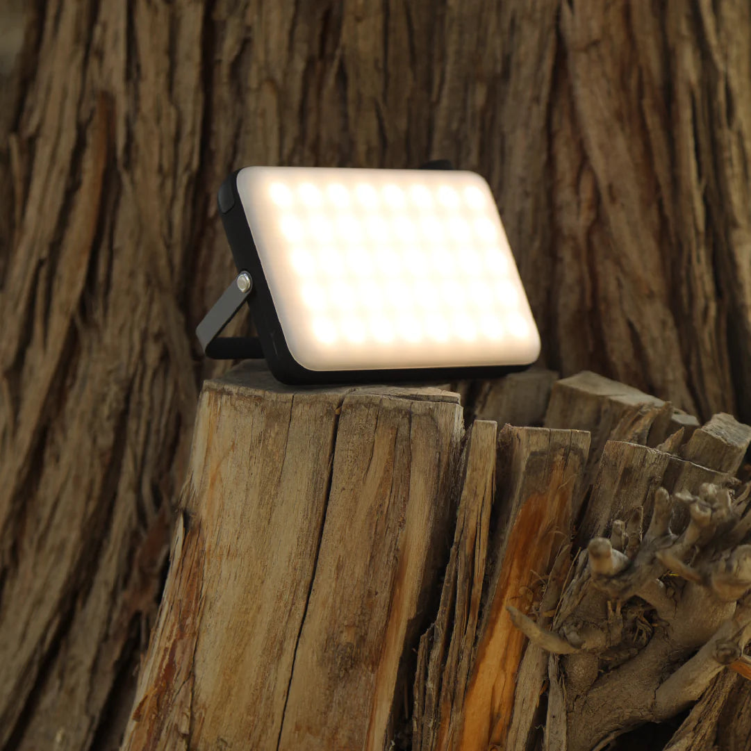 LZEL Luminova Surg10 LED Light & Powerbank 100â??800 Lumens, USB-C â?? Black