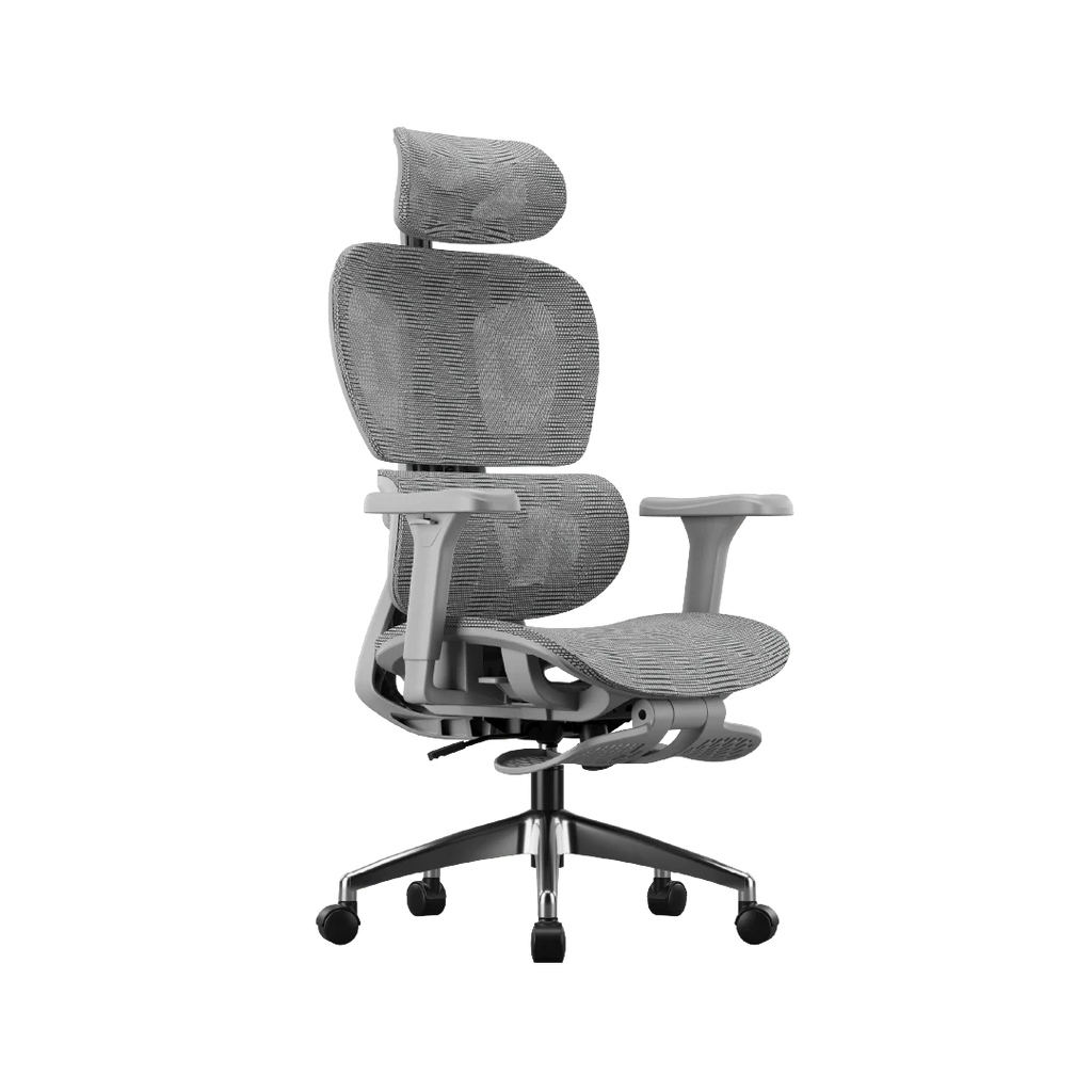 Ergonomic Office Chair – Footrest, Sliding Mechanism, Class 4 Gas Lift | Light Gray