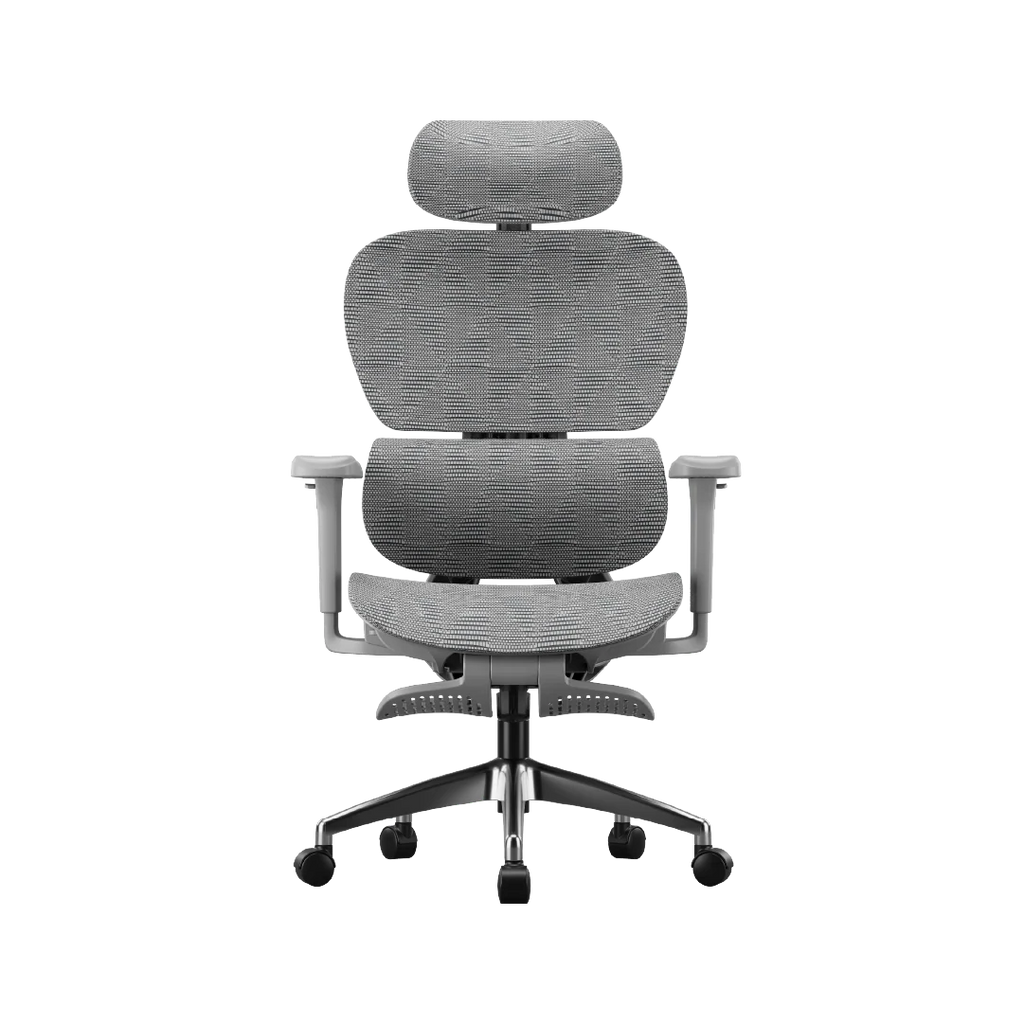 Ergonomic Office Chair – Footrest, Sliding Mechanism, Class 4 Gas Lift | Light Gray