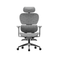 Ergonomic Office Chair – Footrest, Sliding Mechanism, Class 4 Gas Lift | Light Gray