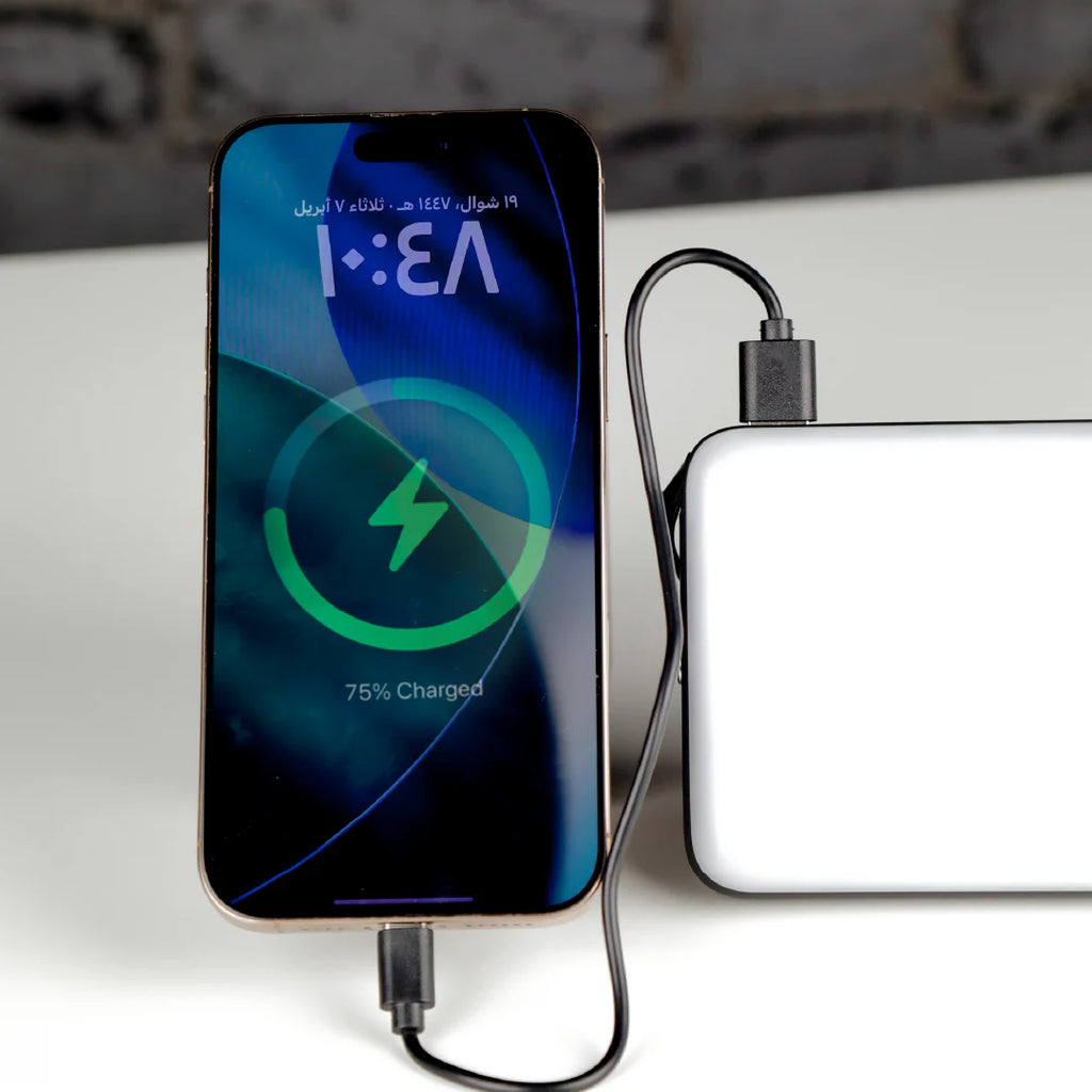 LZEL Luminova Surg10 LED Light & Powerbank 100â??800 Lumens, USB-C â?? Black
