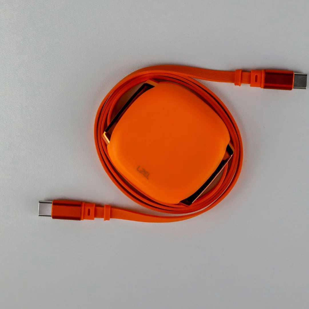 LZEL Fluxlink 100 USB-C 100W Fast Charging Cable With Data Transfer
