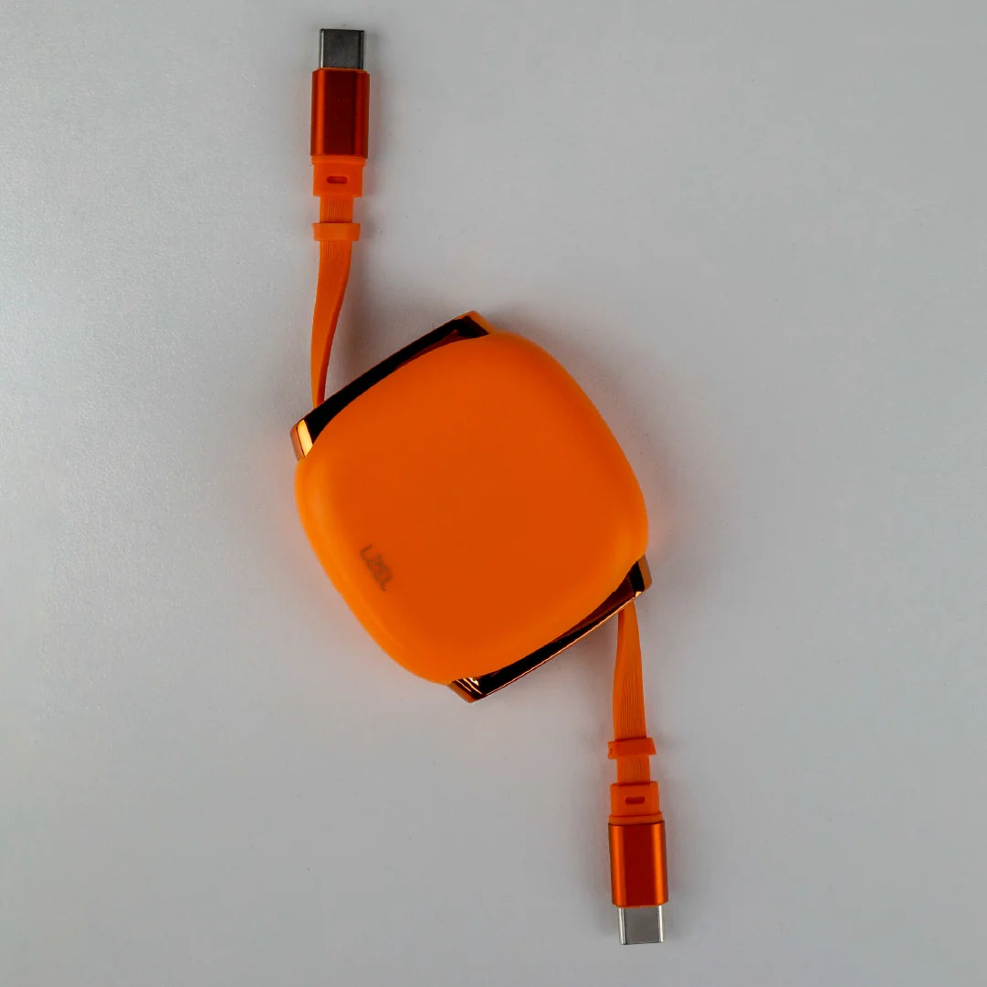 LZEL Fluxlink 100 USB-C 100W Fast Charging Cable With Data Transfer