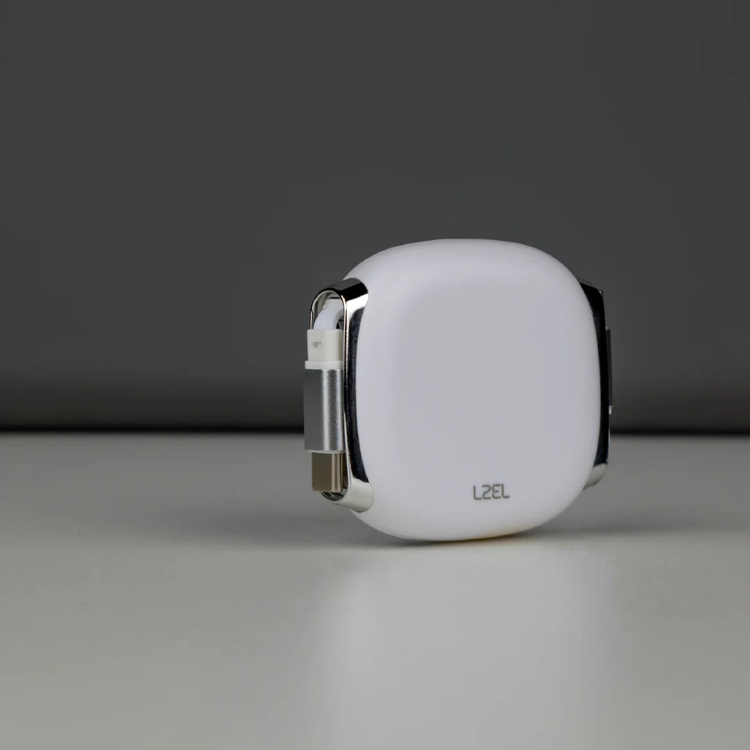 LZEL Fluxlink 100 USB-C 100W Fast Charging Cable With Data Transfer