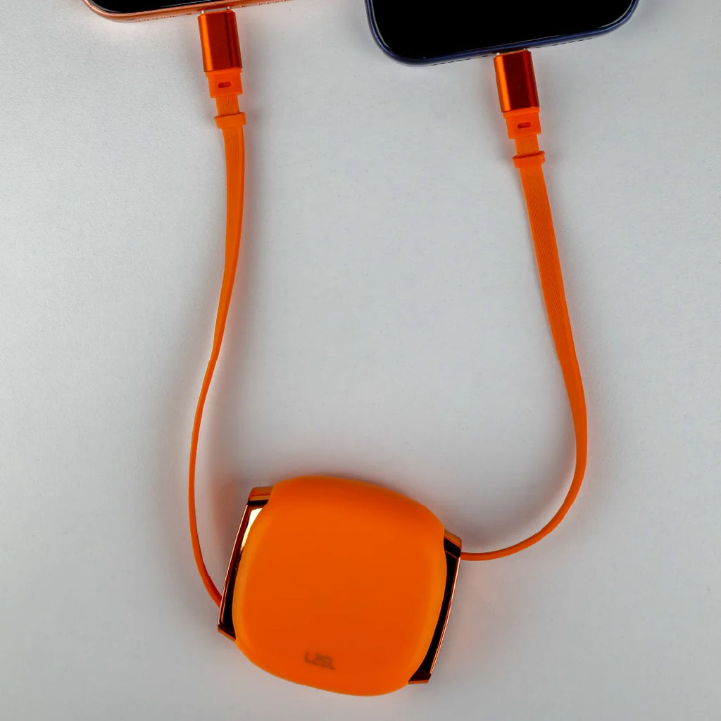 LZEL Fluxlink 100 USB-C 100W Fast Charging Cable With Data Transfer