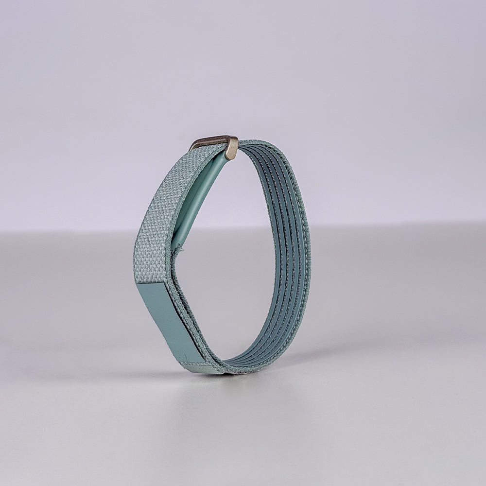 Google Fitbit Air Band