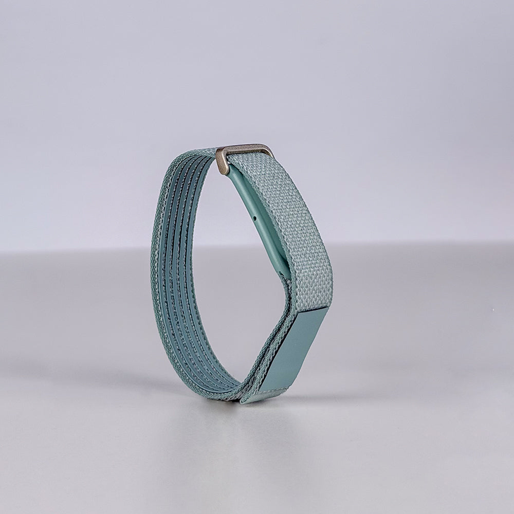 Google Fitbit Air Band