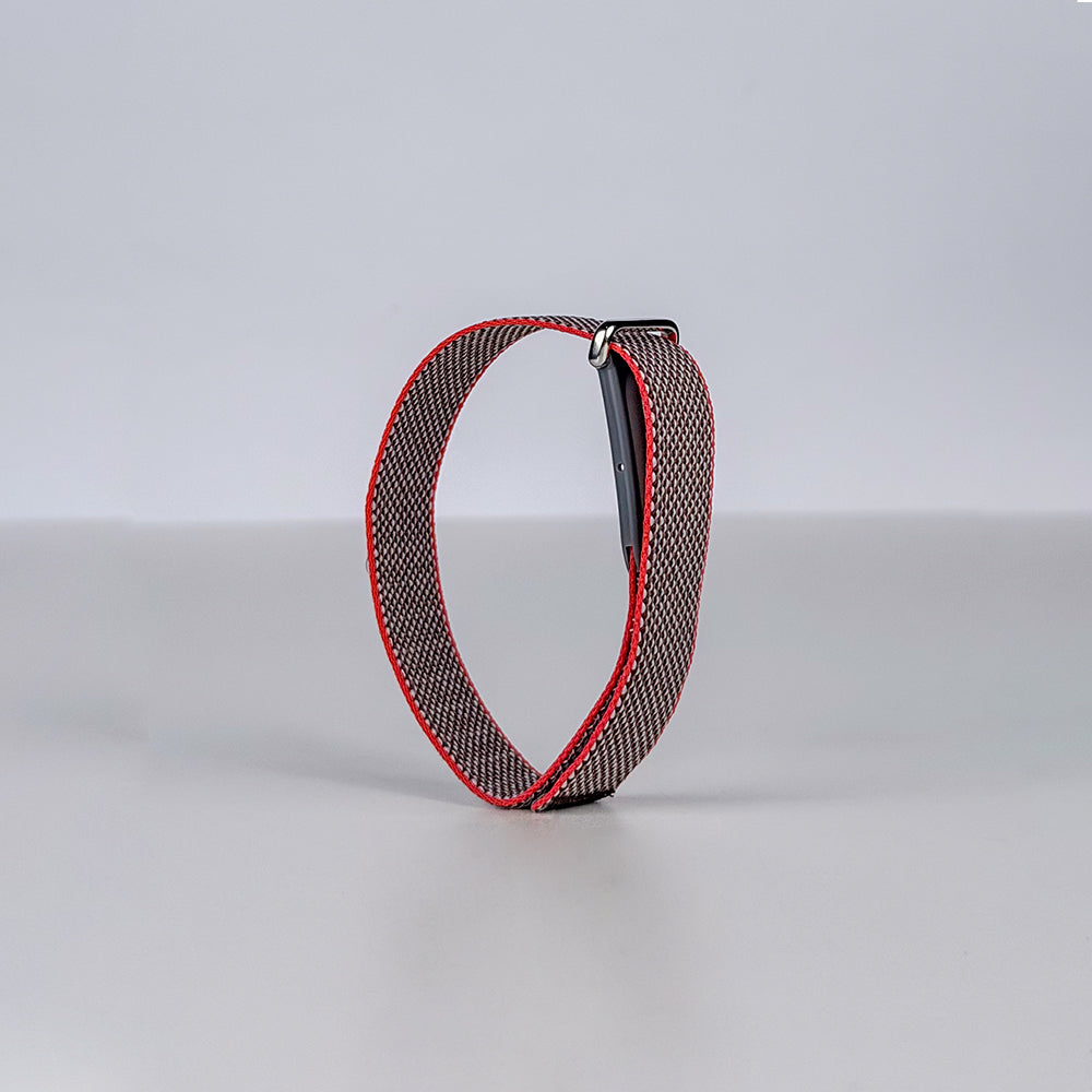 Google Fitbit Air Band