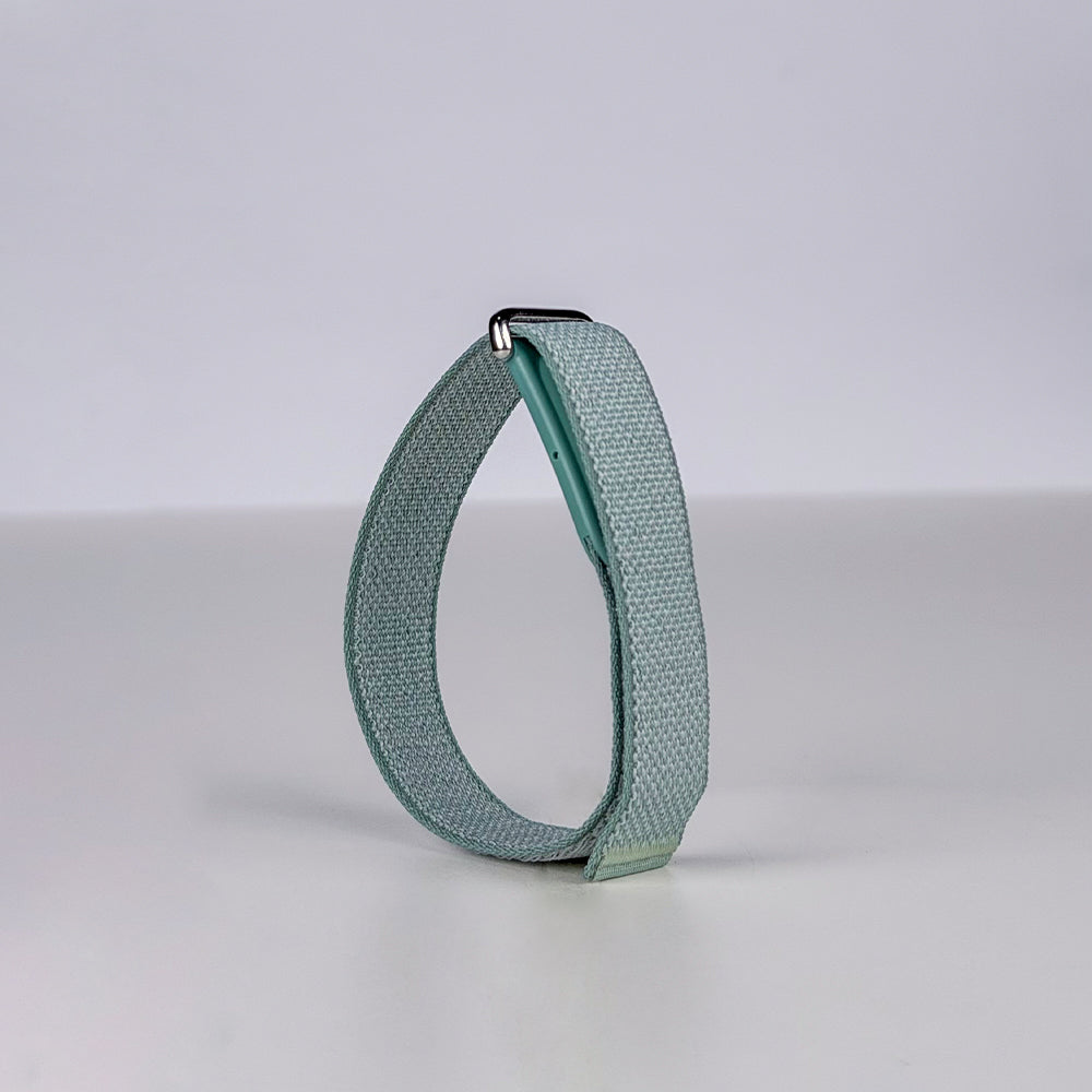 Google Fitbit Air Band