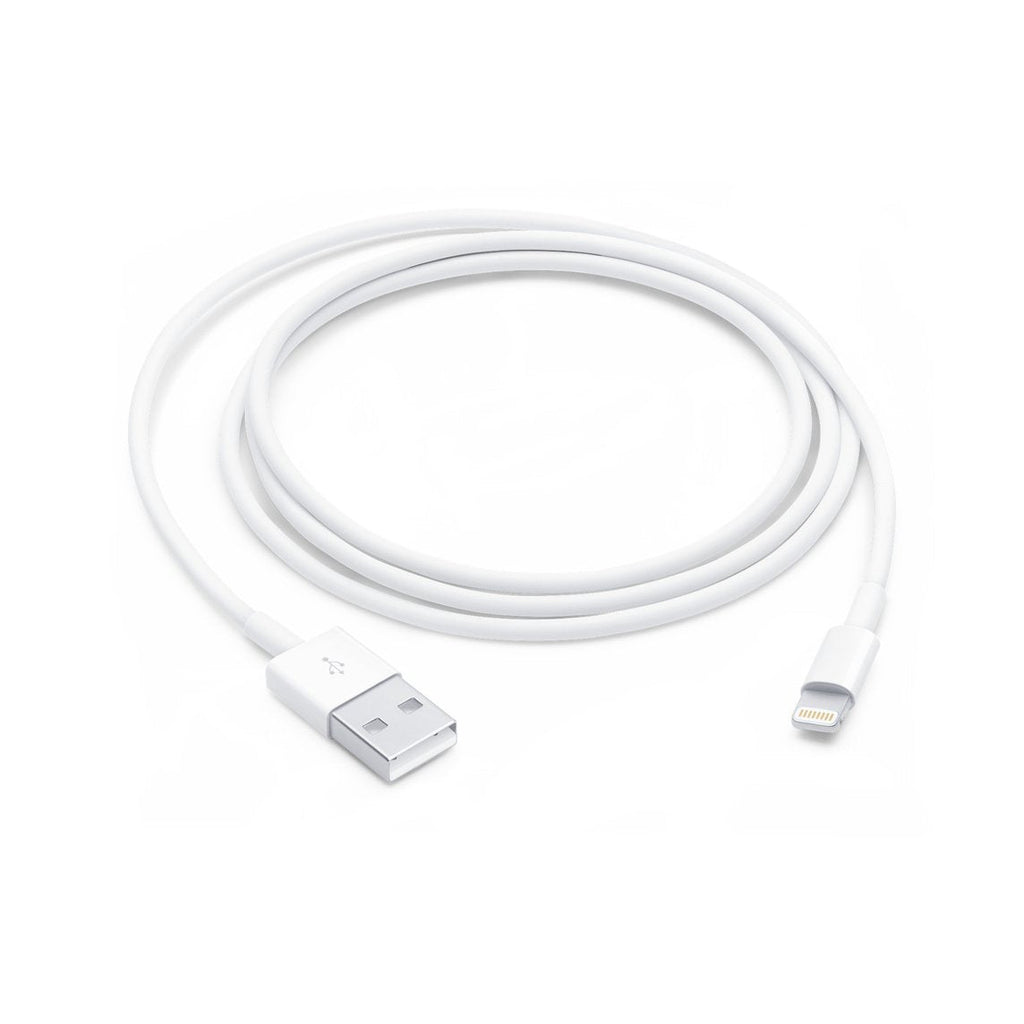 Apple Lightning to USB-A Cable 1m