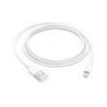 Apple Lightning to USB-A Cable 1m