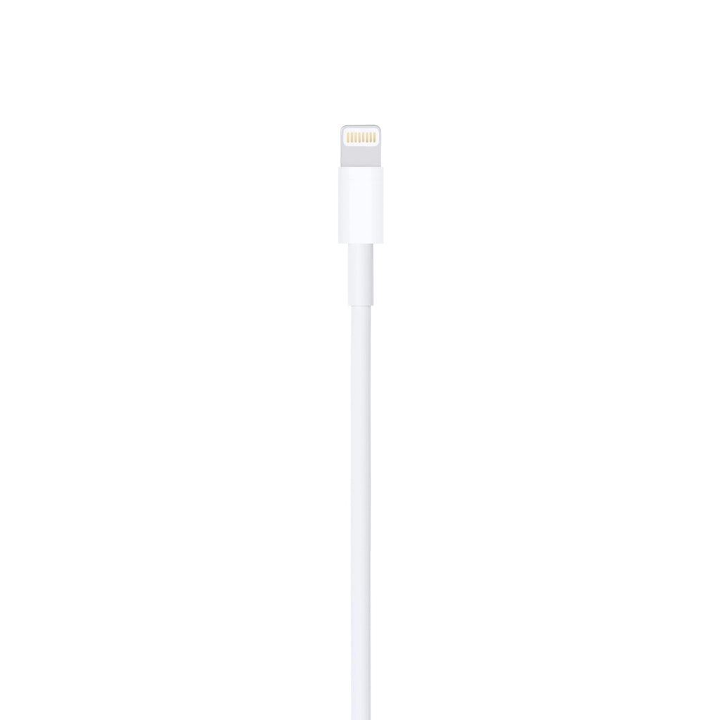 Apple 2M Lightning to USB Cable