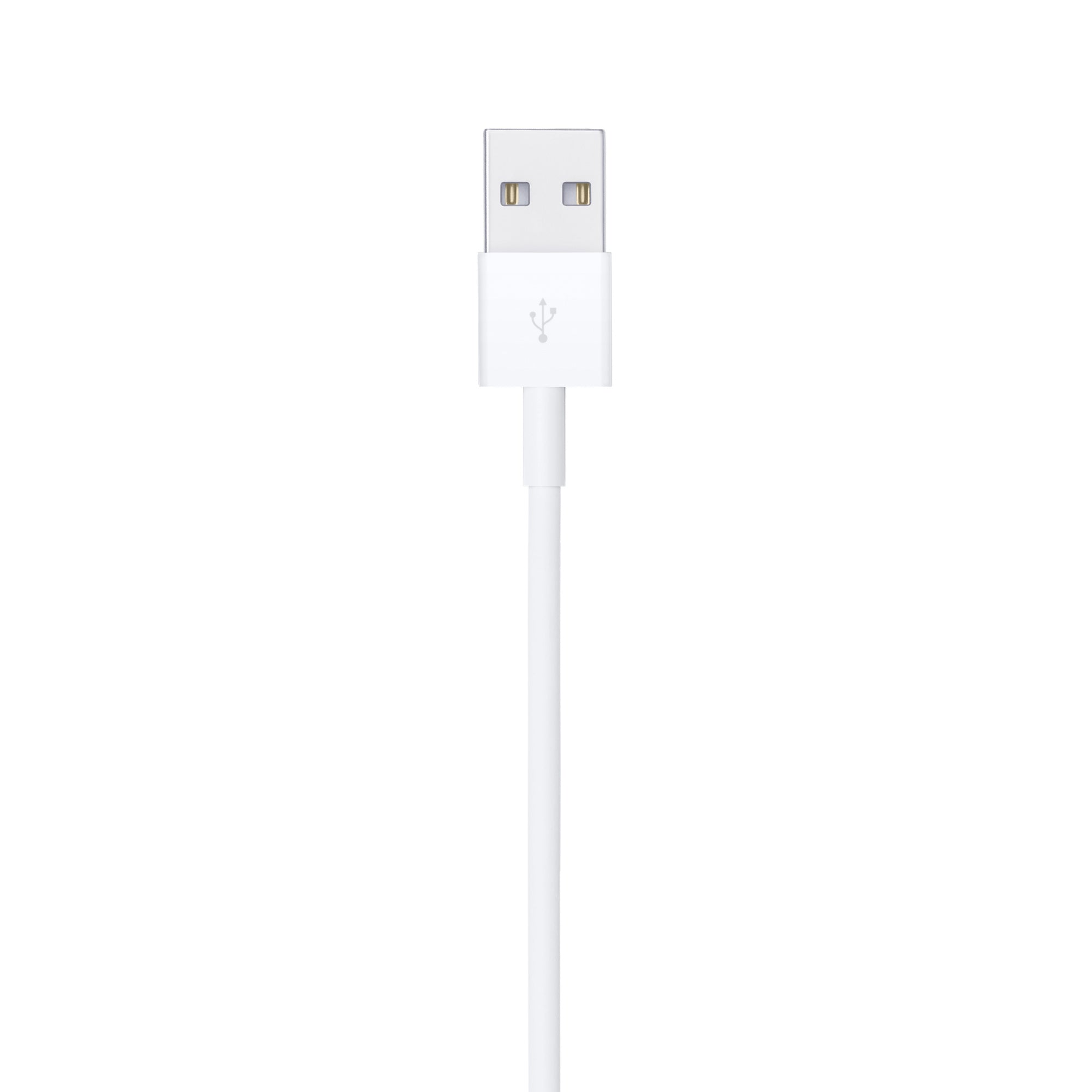 Apple 2M Lightning to USB Cable