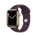 Apple Watch Series 7 GPS + Cellular, 45mm Gold Stainless Steel Case with Dark Cherry Sport Band - Regular