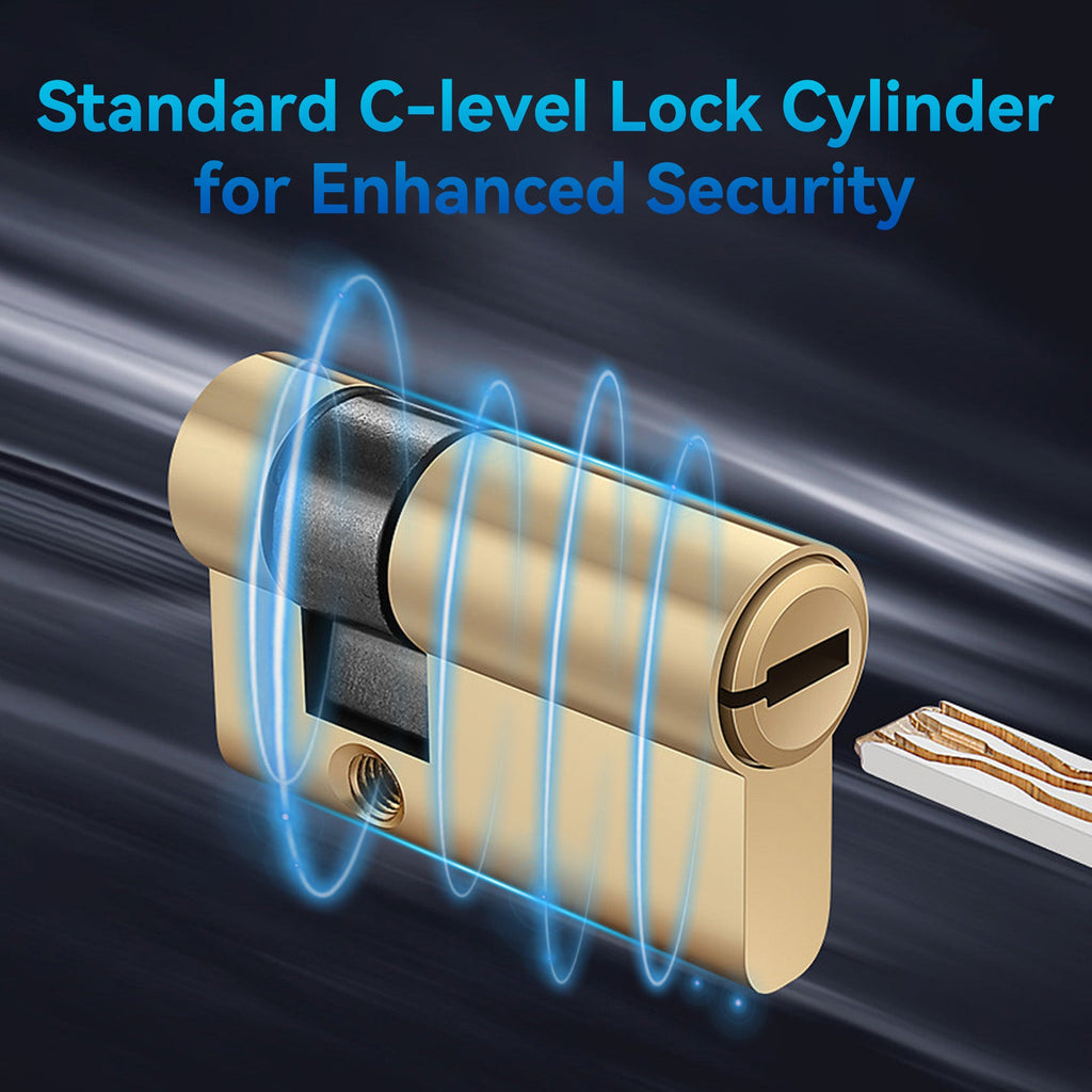 LZEL Smart Door Lock ZSN010 | 3D Facial Recognition, Fingerprint, Password, IC Card & Remote Unlock