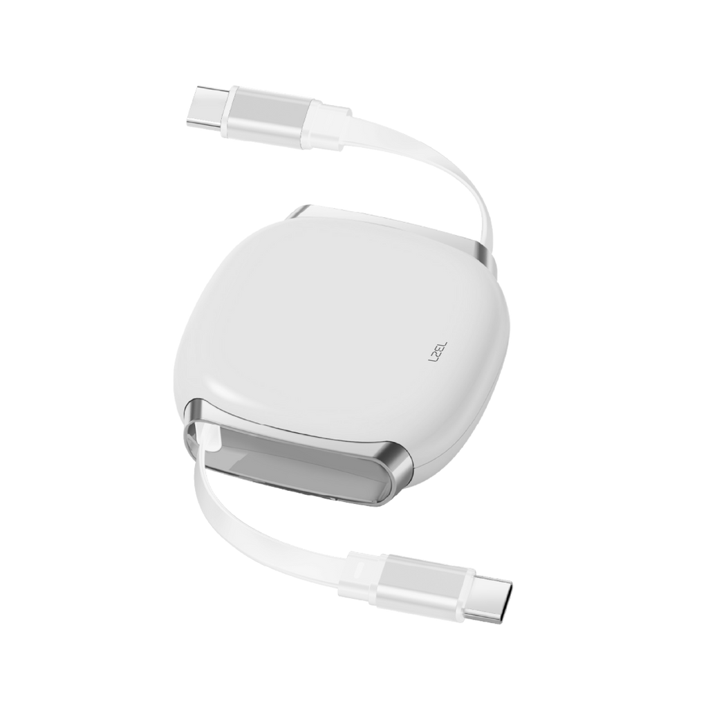 LZEL Fluxlink 100 Usb-C 100W Fast Charging Cable With Data Transfer | White