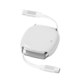 LZEL Fluxlink 100 Usb-C 100W Fast Charging Cable With Data Transfer | White