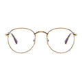 Barner Screen Glasses Recolera| Gold Matte