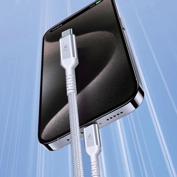 Asli Global Power Wire Max USB-C to USB-C Cable 66W 2M | White